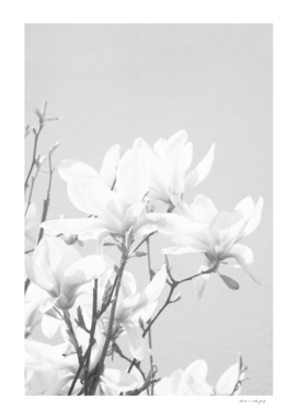 Magnolias Black & White #1 #wall #art