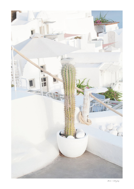 Santorini Cactus Dream #2 #minimal #wall #decor #art