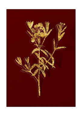 Gold Bog Laurel Bloom Botanical on Red