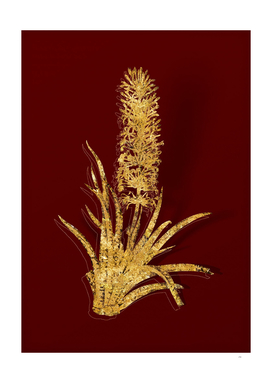 Gold Snake Plant Botanical Illustration on Red