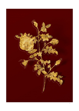 Gold Silver Flowered Hispid Rose Botanical on Red