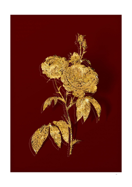 Gold Purple Roses Botanical Illustration on Red