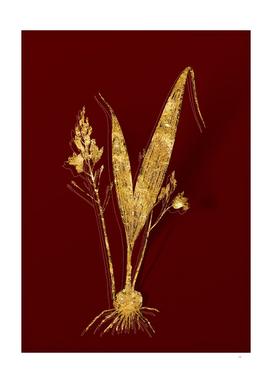 Gold Pine Pink Botanical Illustration on Red