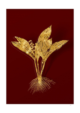 Gold Lily of the Valley Botanical on Red