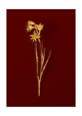 Gold Painted Lady Botanical Illustration on Red