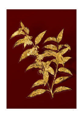 Gold Andromeda Acuminata Bloom Botanical on Red