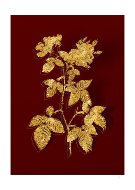 Gold Red Bramble Leaved Rose Botanical on Red