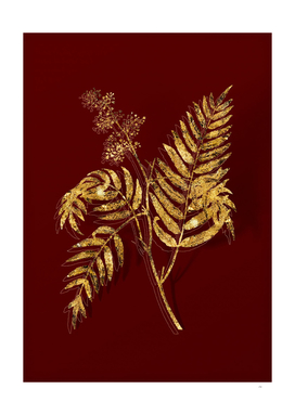 Gold Peruvian Pepper Botanical Illustration on Red