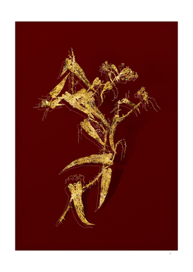 Gold Rough Bindweed Botanical Illustration on Red