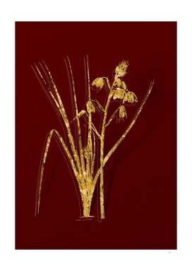 Gold Slime Lily Botanical Illustration on Red