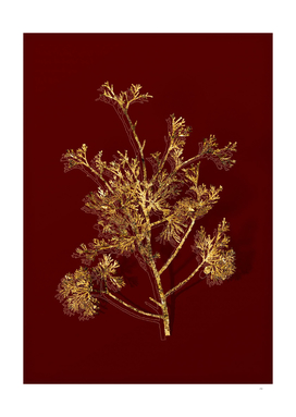 Gold Atlantic White Cypress Botanical on Red