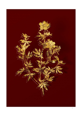 Gold Yellow Buttercup Flowers Botanical on Red