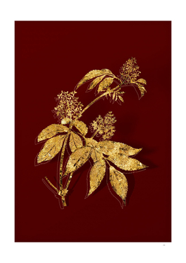 Gold Red Elderberry Botanical Illustration on Red