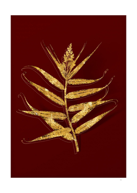 Gold Bush Cane Botanical Illustration on Red