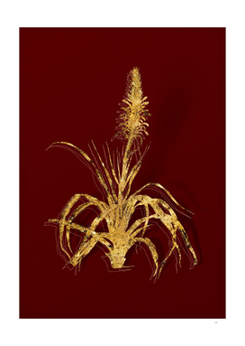Gold Pina Cortadora Botanical Illustration on Red