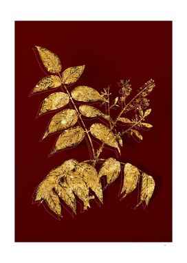 Gold Tree of Heaven Botanical Illustration on Red