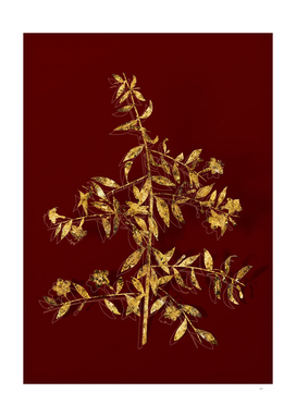 Gold Goji Berry Branch Botanical on Red