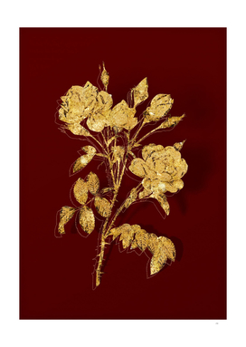 Gold White Rose Botanical Illustration on Red
