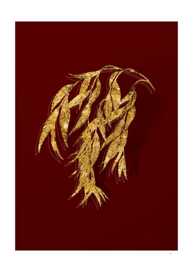 Gold Babylon Willow Botanical Illustration on Red
