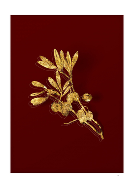 Gold Olive Tree Branch Botanical on Red