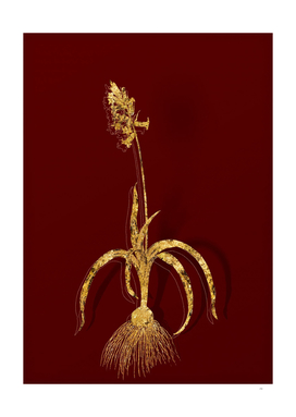 Gold Common Bluebell Botanical Illustration on Red
