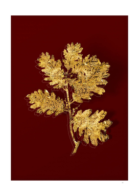 Gold Hungarian Oak Botanical Illustration on Red