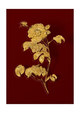 Gold Rose Botanical Illustration on Red