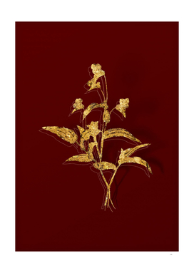 Gold Blue Spiderwort Botanical Illustration on Red
