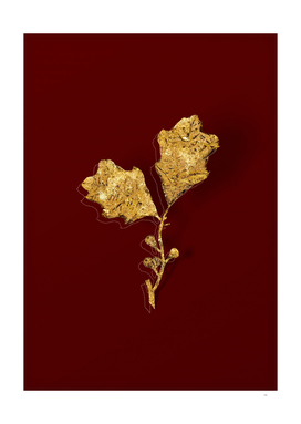 Gold Bear Oak Leaves Botanical Illustration on Red