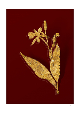 Gold Bandana of the Everglades Botanical on Red