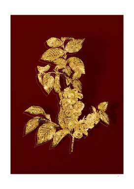 Gold Field Elm Botanical Illustration on Red