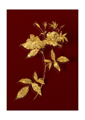 Gold Hudson Rosehip Botanical Illustration on Red