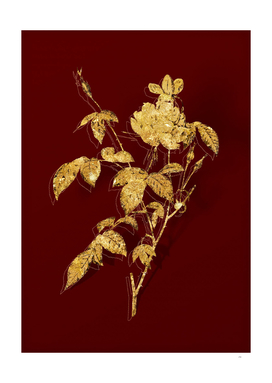 Gold White Bengal Rose Botanical on Red