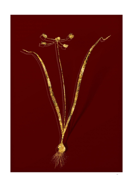 Gold Allium Scorzonera Folium Botanical on Red