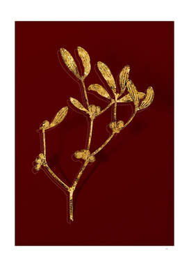 Gold Viscum Album Branch Botanical on Red