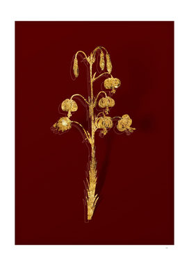 Gold Lilium Pyrenaicum Botanical on Red