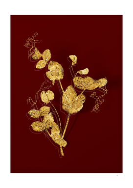 Gold White Pea Flower Botanical on Red