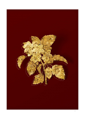Gold Sweet Crabapple Botanical Illustration on Red