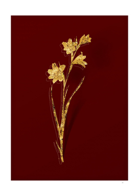Gold Painted Lady Botanical Illustration on Red