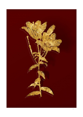 Gold Orange Bulbous Lily Botanical on Red