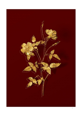 Gold Indica Stelligera Rose Botanical on Red