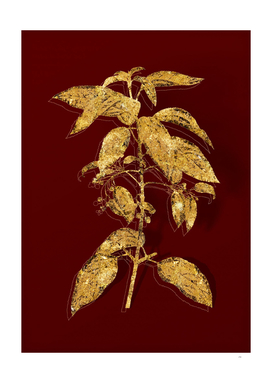 Gold Chilean Wineberry Branch Botanical on Red