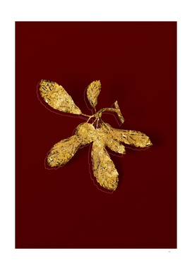 Gold Crabapple Botanical Illustration on Red