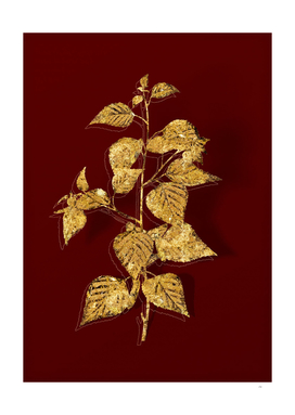 Gold Black Birch Botanical Illustration on Red