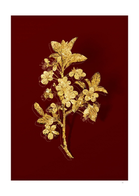 Gold White Plum Flower Botanical on Red