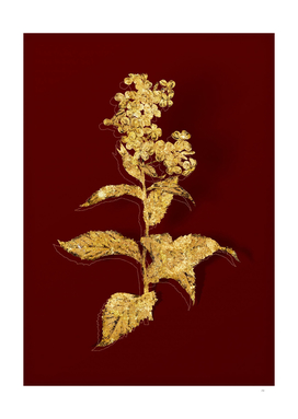 Gold White Gillyflower Bloom Botanical on Red