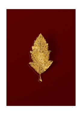 Gold Crabapple Botanical Illustration on Red