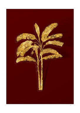 Gold Banana Tree Botanical Illustration on Red