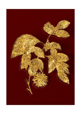 Gold Paper Mulberry Flower Botanical on Red