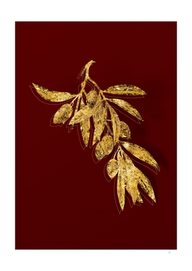 Gold Olive Tree Branch Botanical on Red